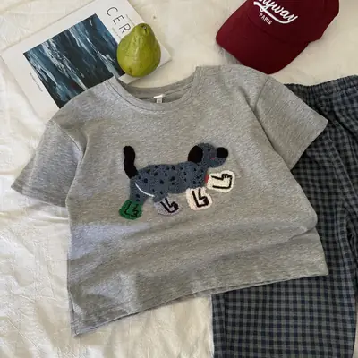 Girls Grey Puppy Embroidered T-Shirt 2025 Summer