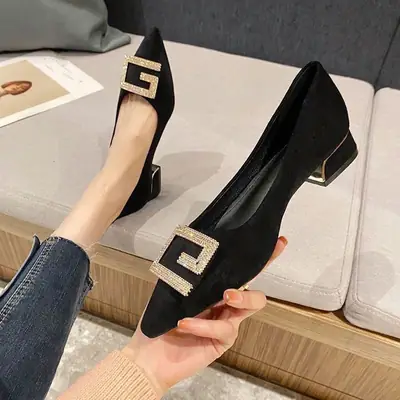 Thick-Heeled Women's Shoes 2026 New Spring and Autumn Pointed Toe Shallow High Heels Comfortable Suede Professional Black Work Shoes