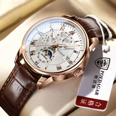 Men's Quartz Watch with Mechanical Dial & Leather Strap