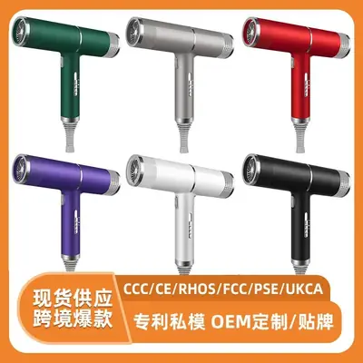 Silver High-Speed Hair Dryer with Negative Ion & Wind Filter