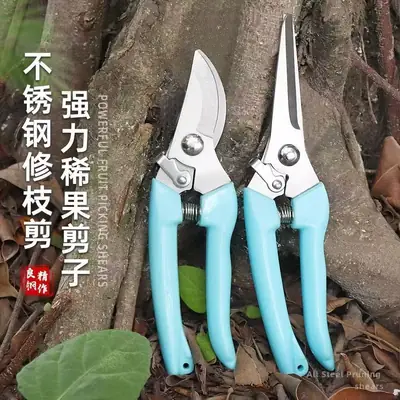 Florist's Special Scissors for Flower Arrangement, Pruning Shears, Gardening Pruning Branches, Flower Branches, Bonsai Flowers, Fruit Picking Artifact