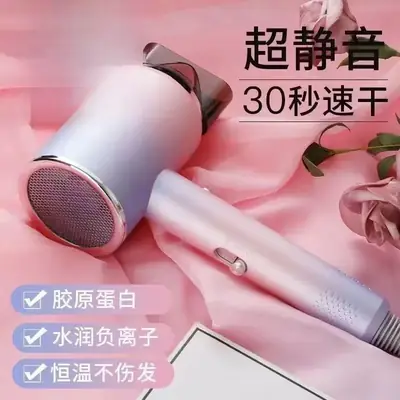 Portable Hair Dryer with Strong Wind & Negative Ion Technology