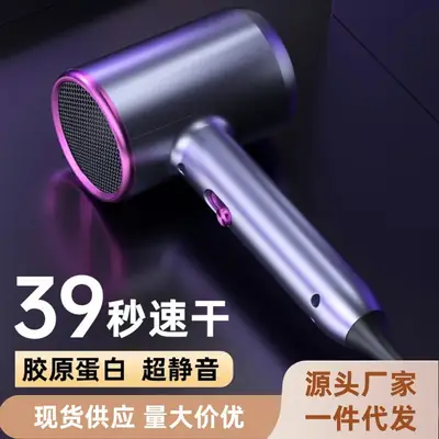 Electric Hair Dryer with Negative Ion Technology