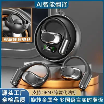 True Wireless Bluetooth Earphones with Smart AI Translation & Long Battery