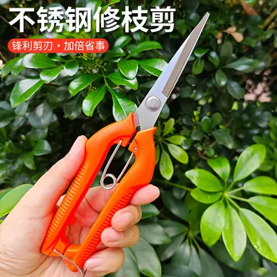 Stainless Steel Branch Pruning Shears, Fruit Picking Shears, Bonsai Vegetable and Fruit Scissors, Garden Tools, Outdoor Fruit Tree Shears