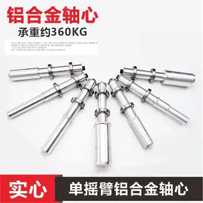 Single Arm Swingarm Bike Frame Ducati Qianjiang