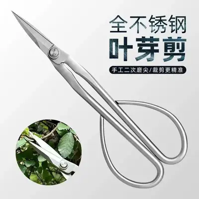 Branch Pruning Scissors Thickened Stainless Steel Potted Plant Bud Pruning Gardening Pruning Leaf Bonsai Long-Handled Scissors
