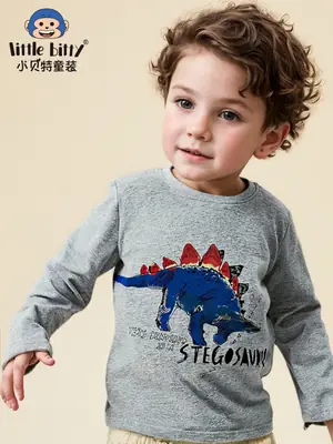 Kids Grey Dinosaur Print Long Sleeve T-Shirt