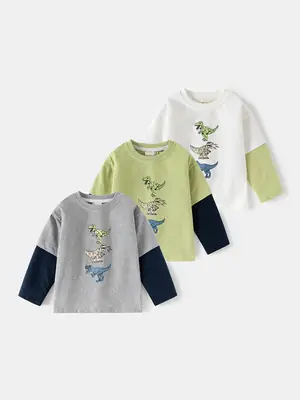 Children Grey Dinosaur Long Sleeve T-Shirt