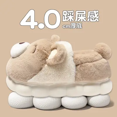Cute Plush Cotton Winter Shoes for Women