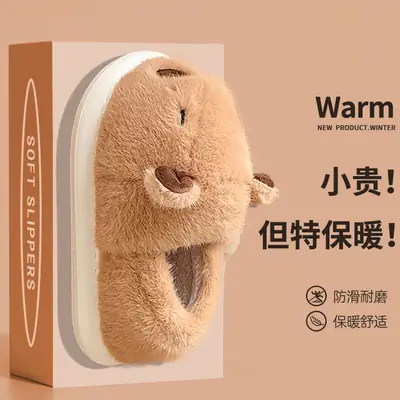 Women Cartoon Cotton Slippers Winter Brown