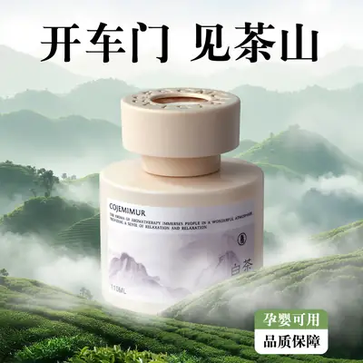 Car Aromatherapy New Long-Lasting Fragrance High-End Car-Specific Perfume for Purifying Air and Removing Odor Fragrance in the Car