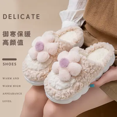 Women Cotton Cartoon Slippers Brown Winter Comfortable