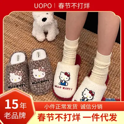 Winter Kitty Cartoon Fleece Slippers Women Brown