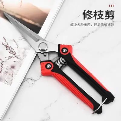 Japanese Imported Stainless Steel Gardening Scissors Pruning Shears for Cutting Branches Special Scissors Pruning Scissors Floral Scissors Free Shipping