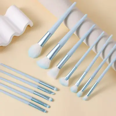 12-Piece Makeup Brush Set for Eyes, Lips, Nose & Detail Work