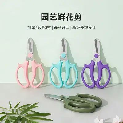 Stainless Steel Pruning Scissors, Floral Gardening Scissors, Flower Arranging Scissors, Garden Tools, Cross-Border Ready Stock Wholesale