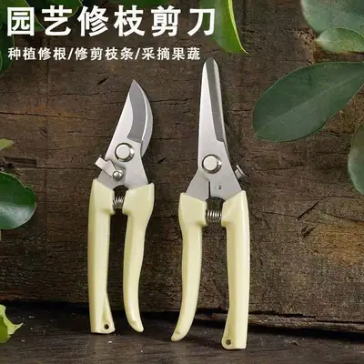 Pruning Shears for Thick Branches, Flower Shop Gardening Scissors, Stainless Steel Fruit Picking Scissors, Garden Scissors, Floral Household Pruning Scissors