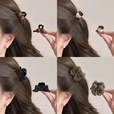 Women Hairpin Small 2025 New High-End Half-Tied Side Clip