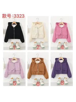 Direct sales from the source factory: girls' short zip-up jacket with hood, casual sporty style, fashionable new spring children's clothing